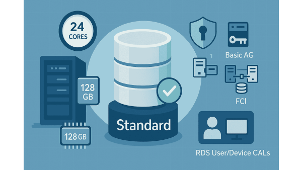 Image of SQL Server 2022 Standard features