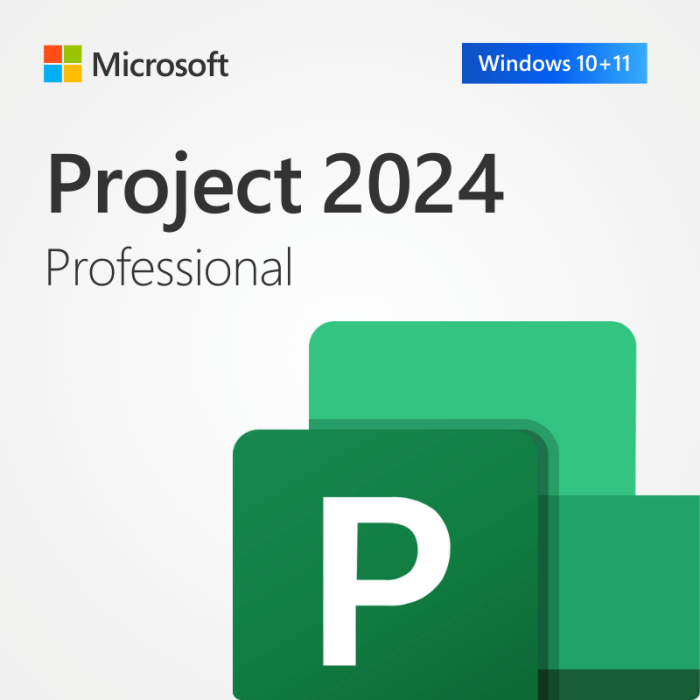 Brytesoft Microsoft Project 2024 Professional digital product key for Windows with instant delivery