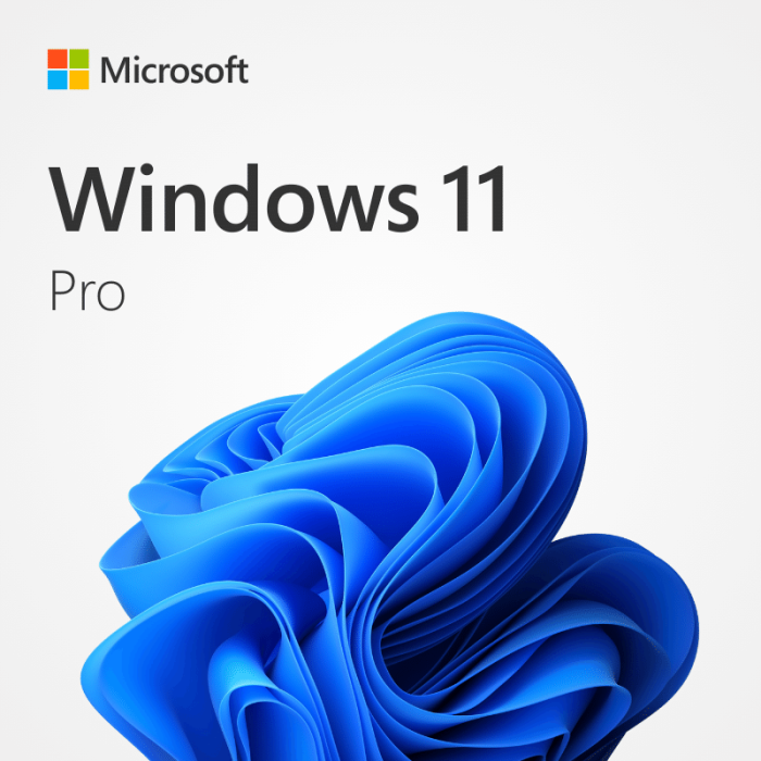 Windows 11 Pro, 58% OFF | conservacion.exactas.uba.ar