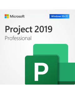 Microsoft Project 2019 Professional