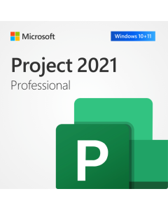Microsoft Project 2021 Professional