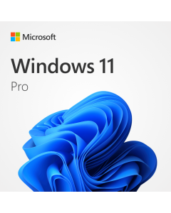 Windows 11 Pro