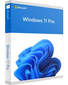 Windows 11 pro product key