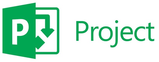 Microsoft Project 2019 Professional